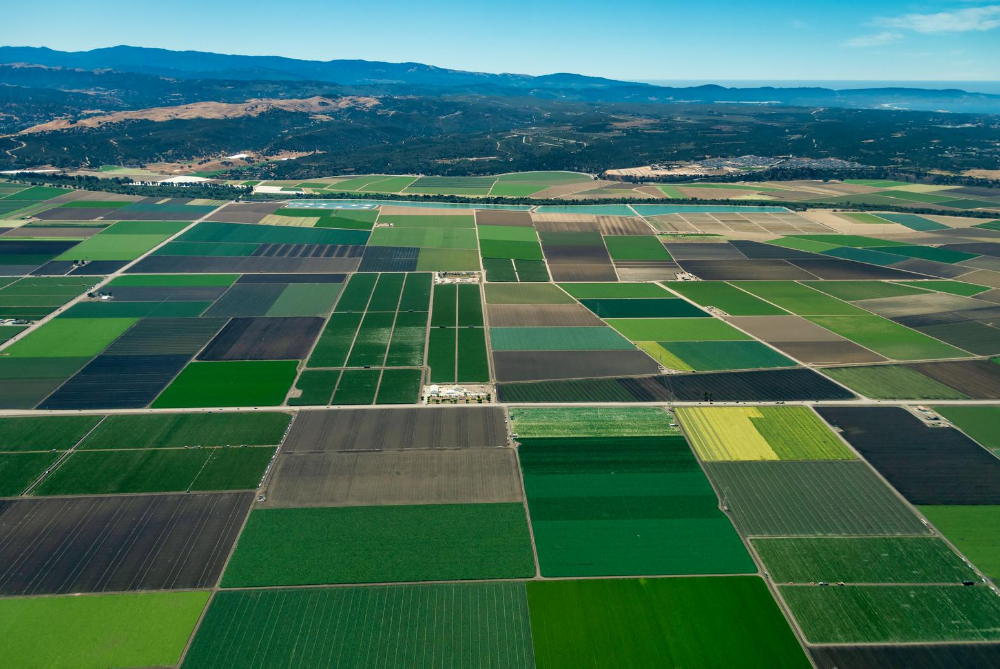Using LotFox To Buy And Sell Land In California